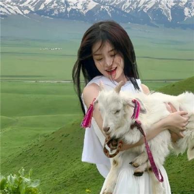 风流公子花弄蝶